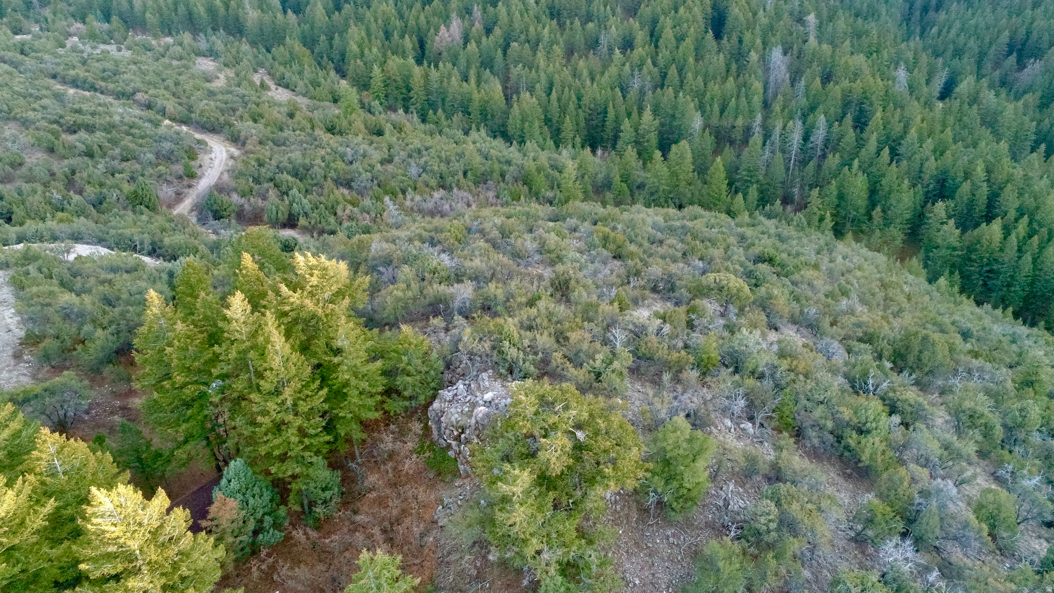 SPRING CREEK ESTATES - Land