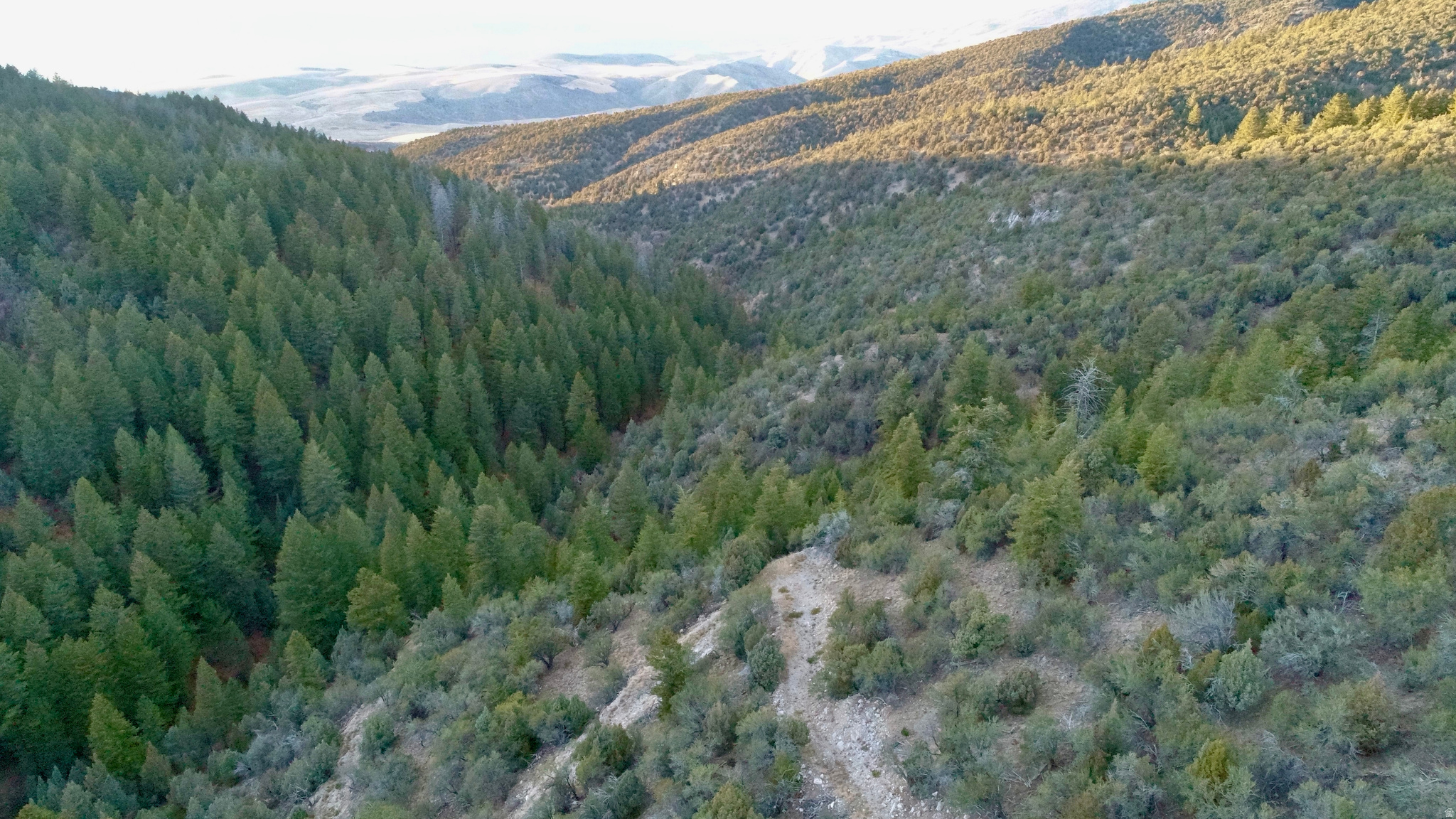 SPRING CREEK ESTATES - Land