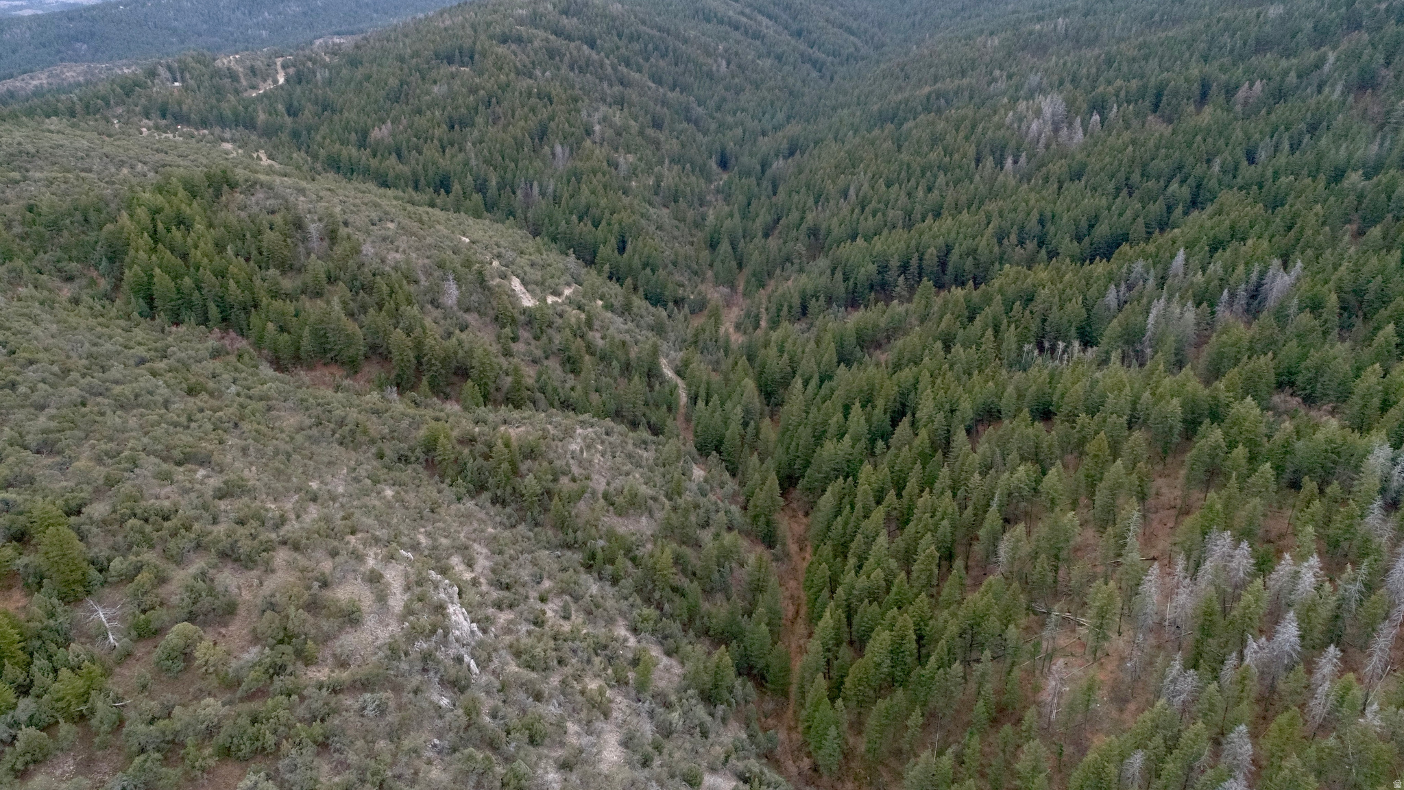 SPRING CREEK ESTATES - Land