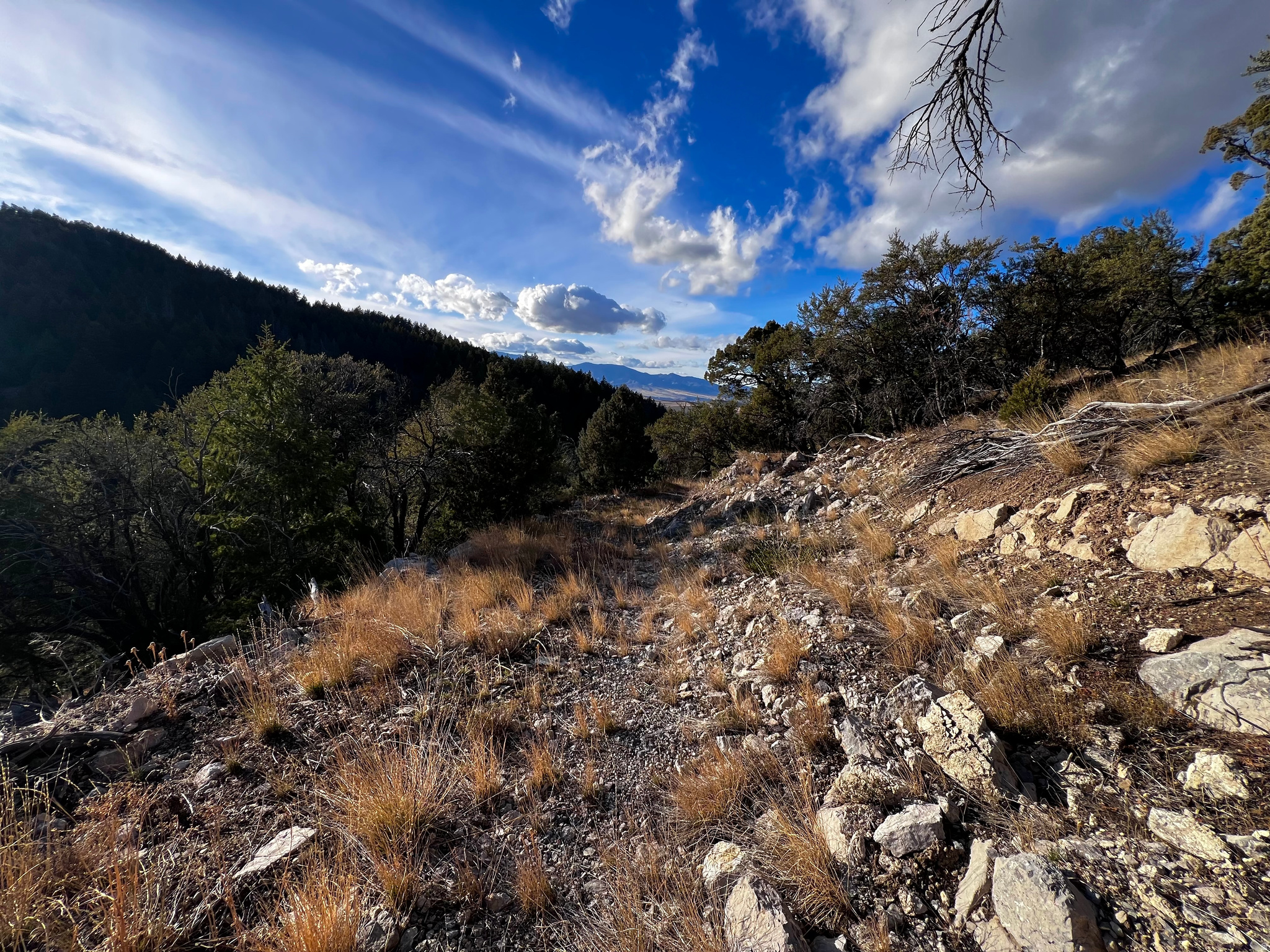 SPRING CREEK ESTATES - Land