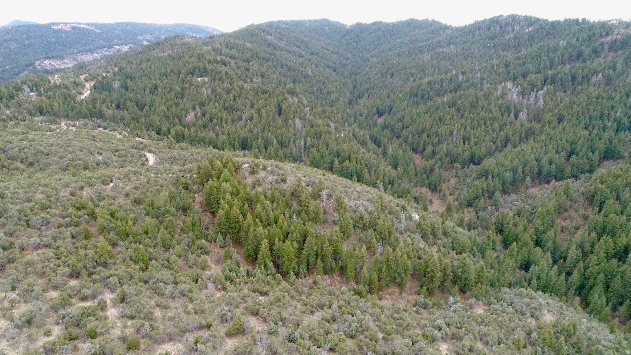 SPRING CREEK ESTATES - Land