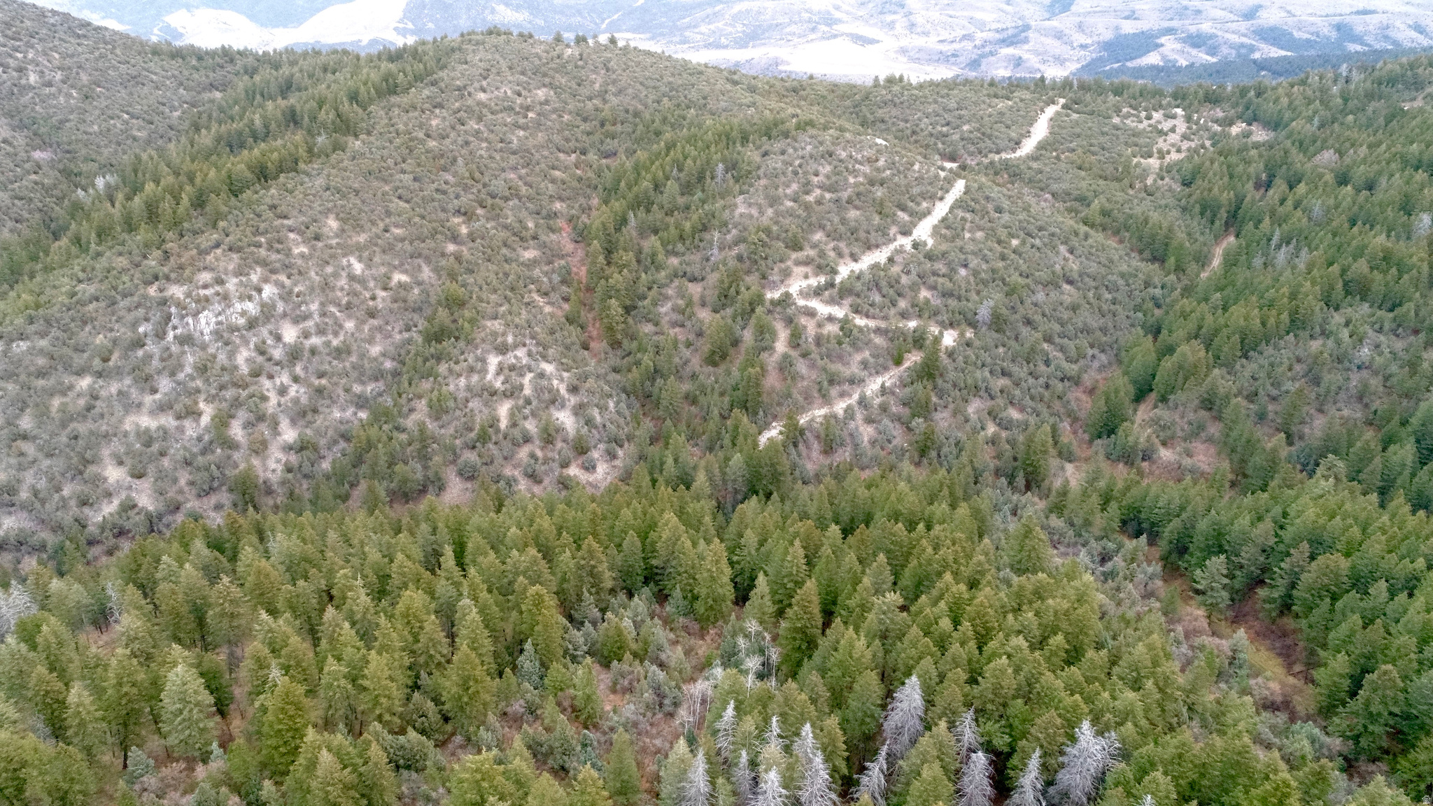 SPRING CREEK ESTATES - Land