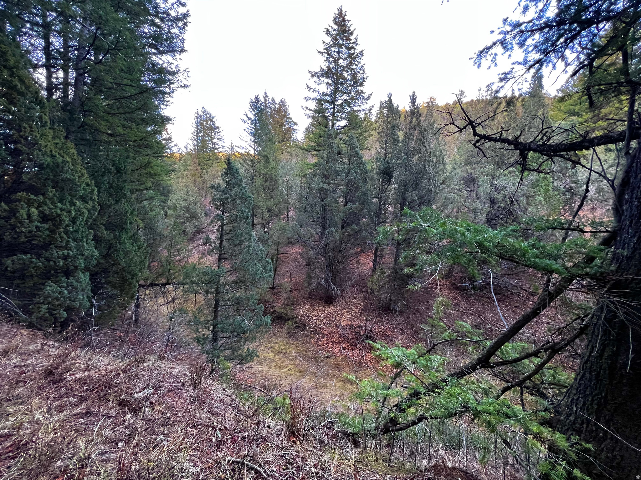 SPRING CREEK ESTATES - Land