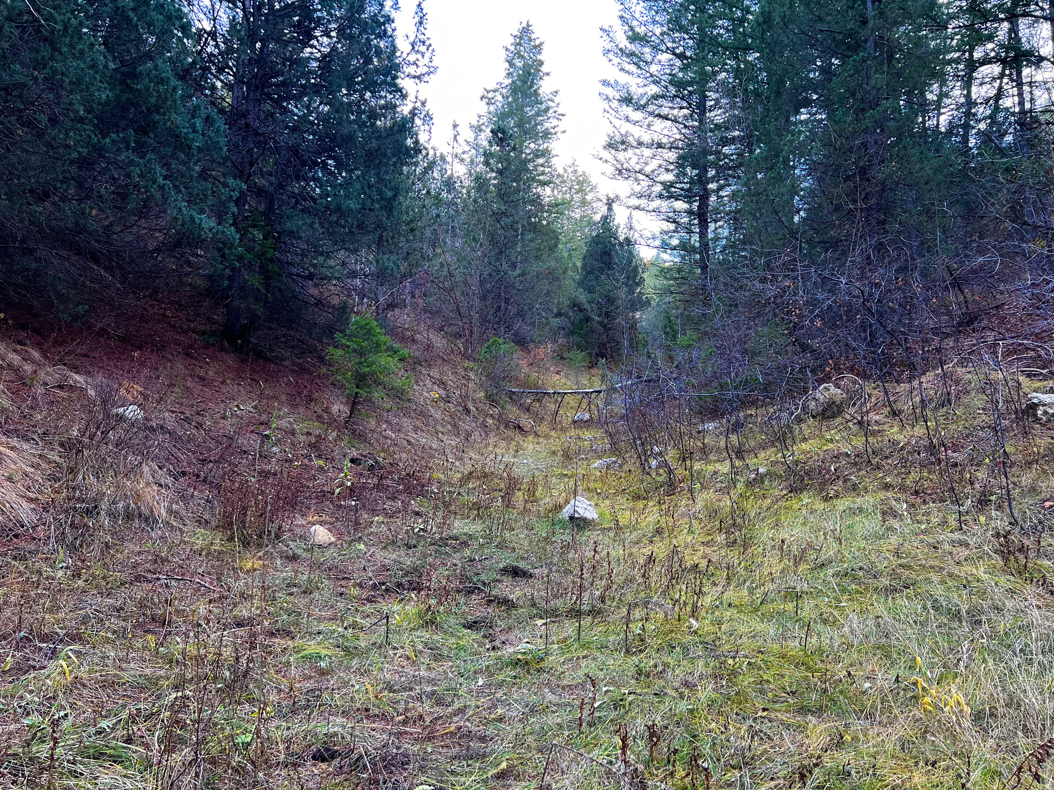 SPRING CREEK ESTATES - Land