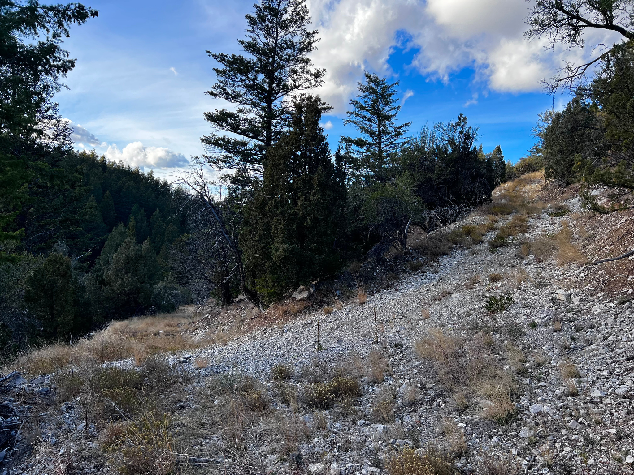 SPRING CREEK ESTATES - Land