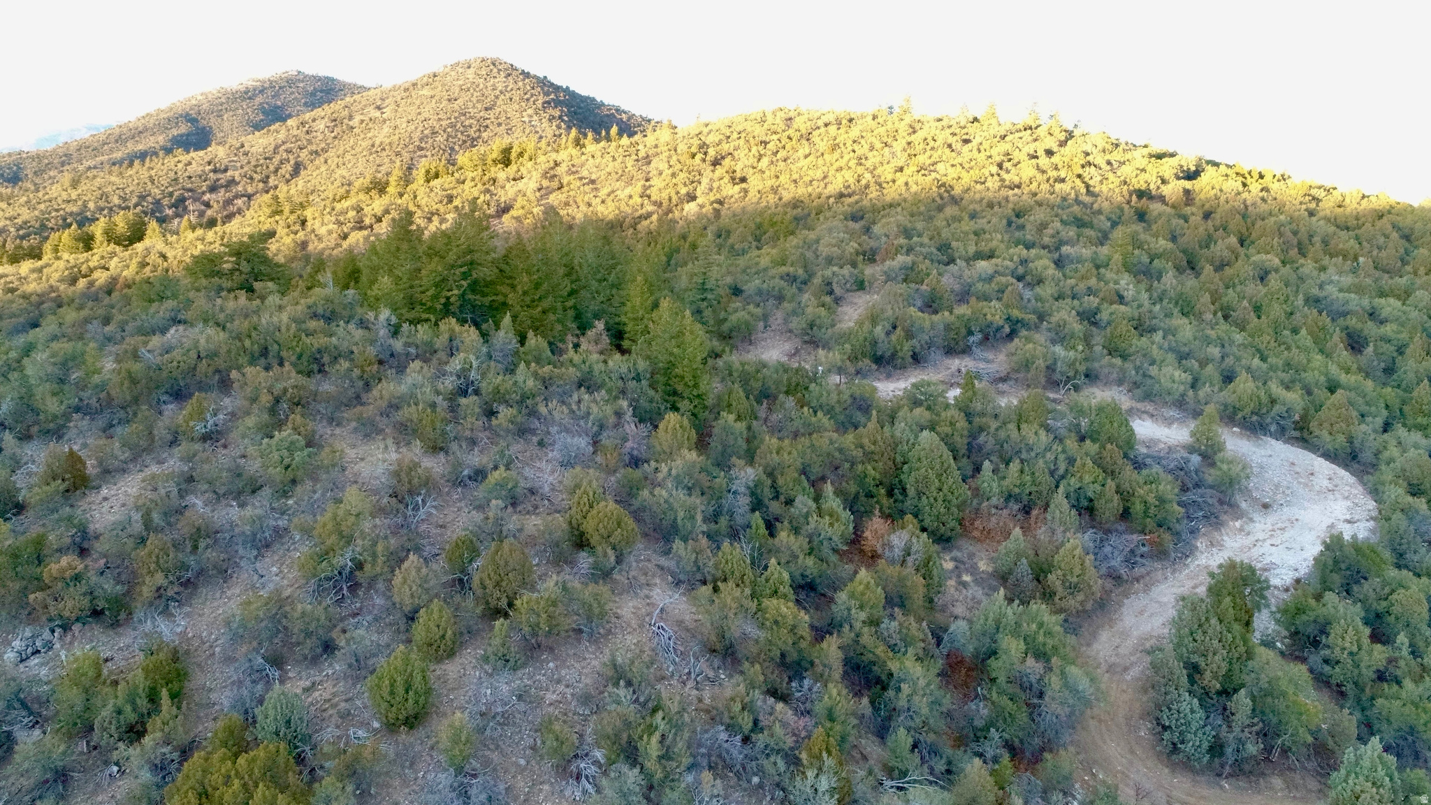 SPRING CREEK ESTATES - Land