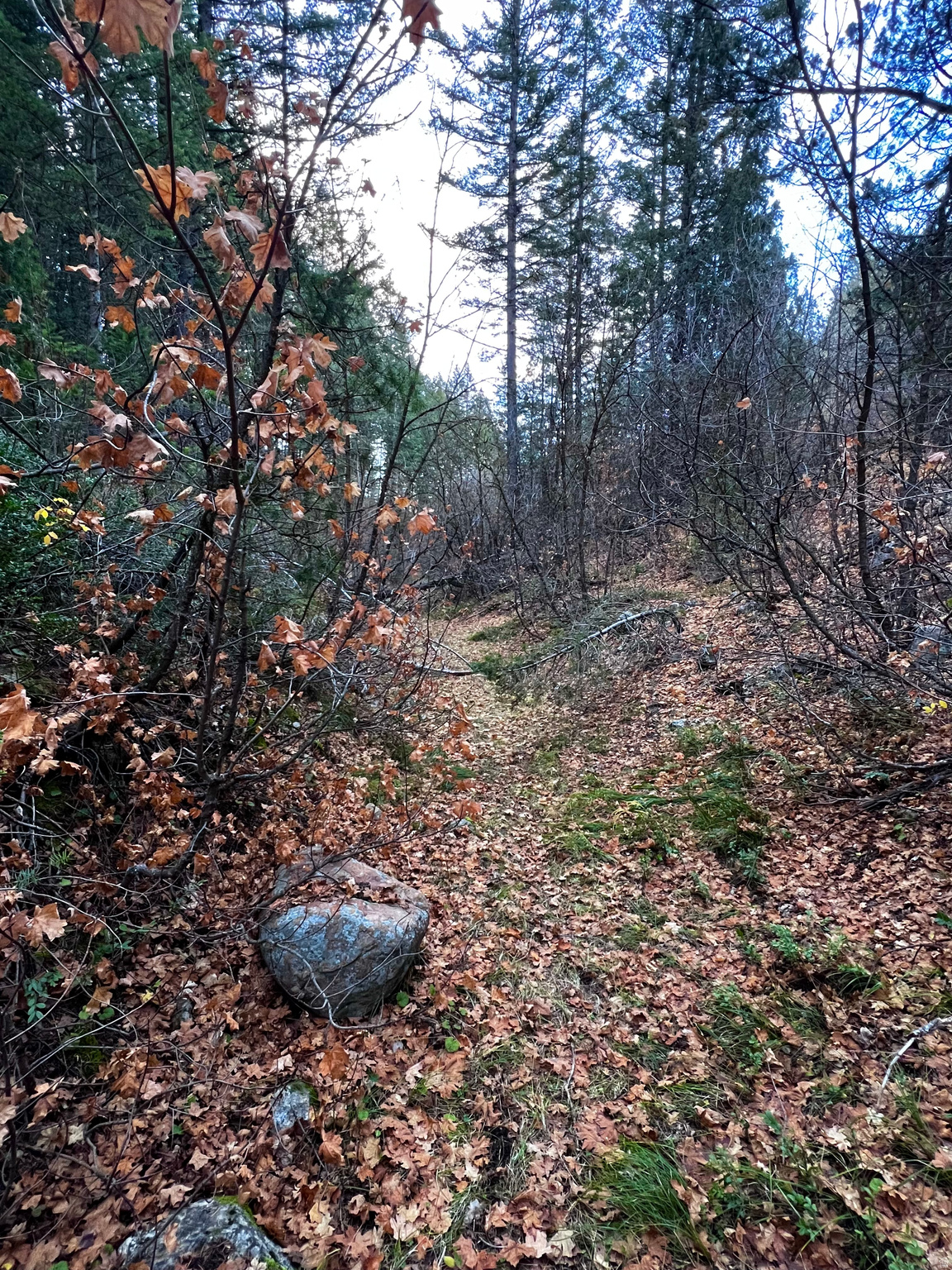 SPRING CREEK ESTATES - Land