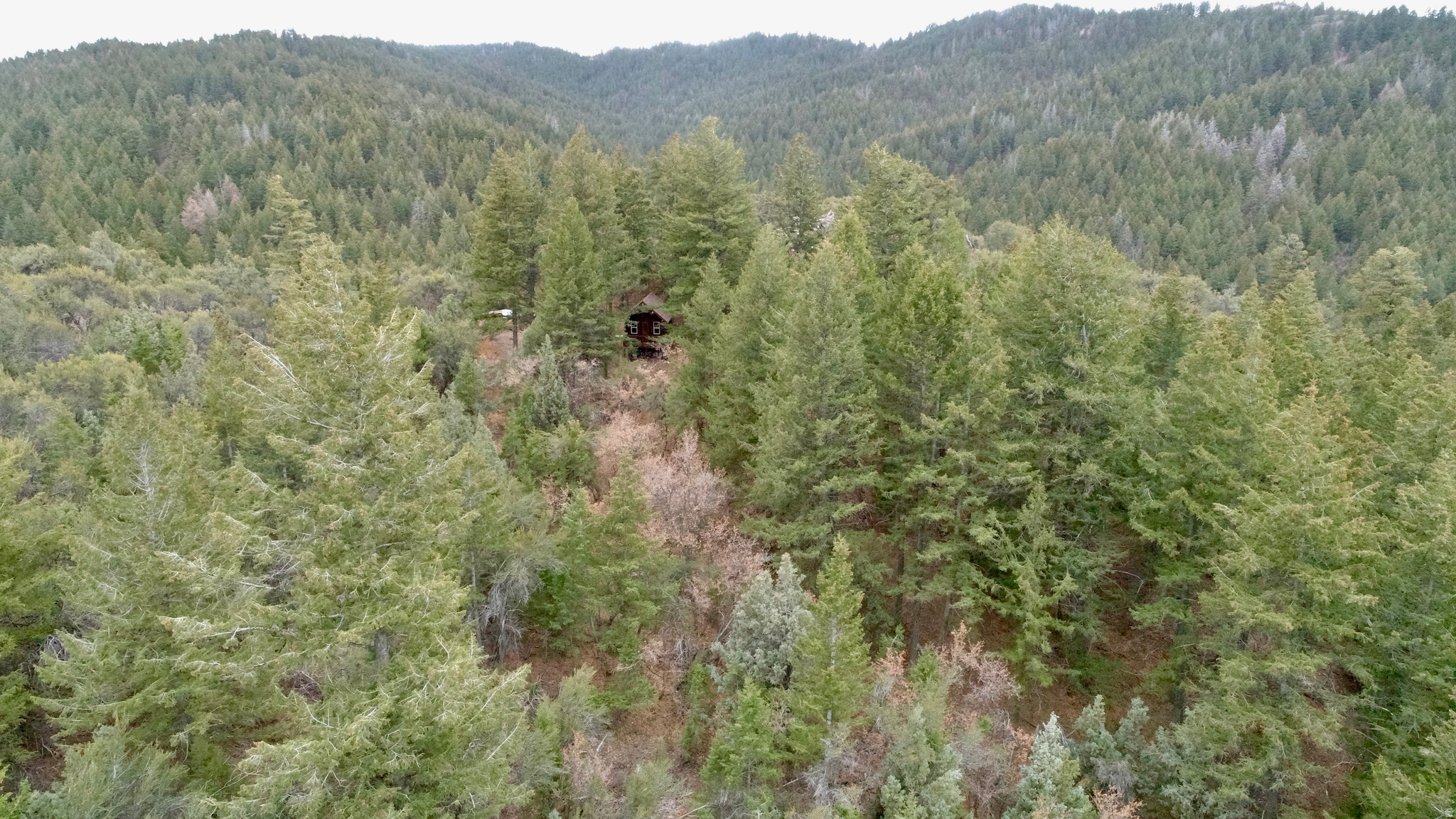 SPRING CREEK ESTATES - Land