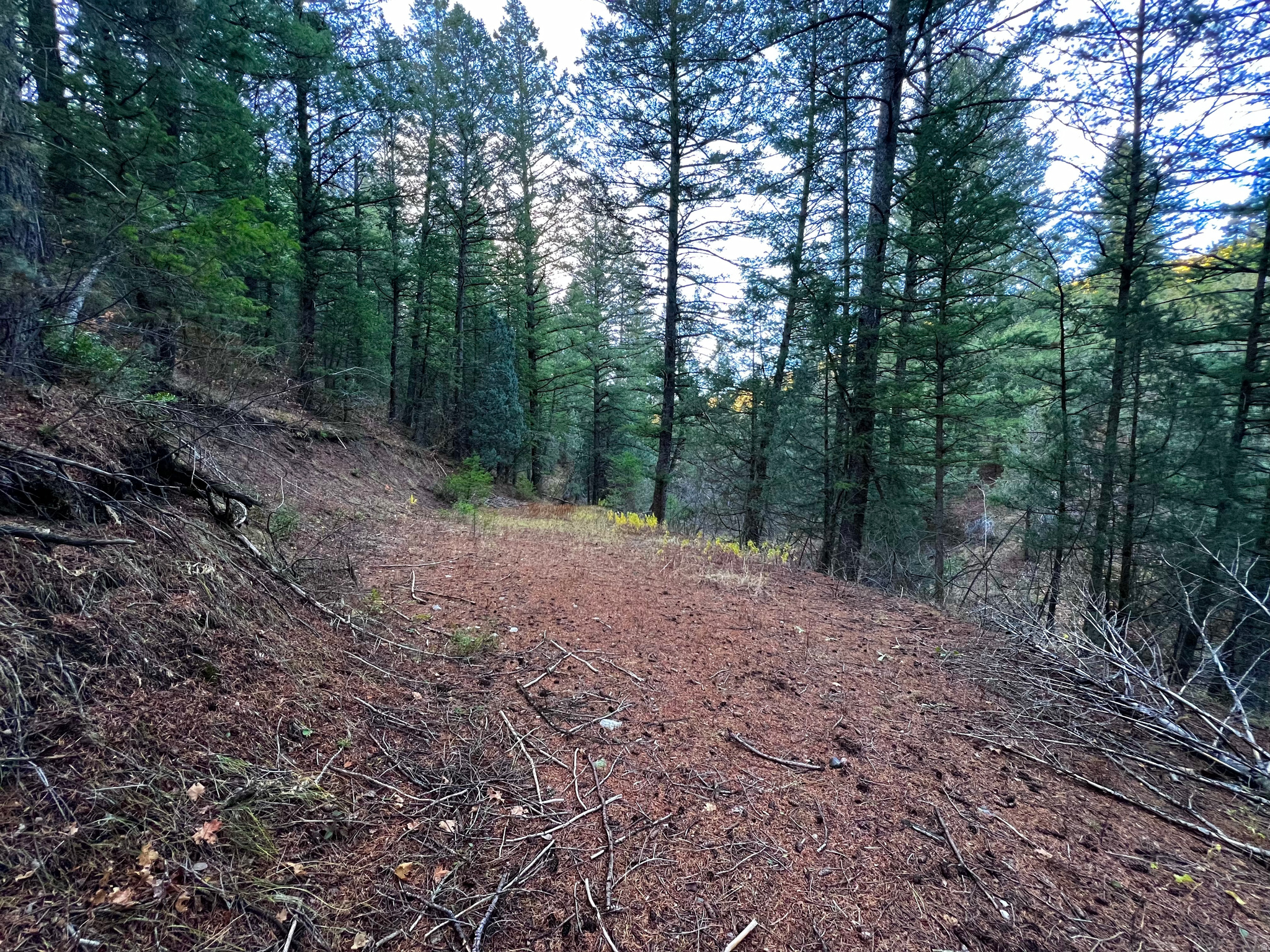 SPRING CREEK ESTATES - Land