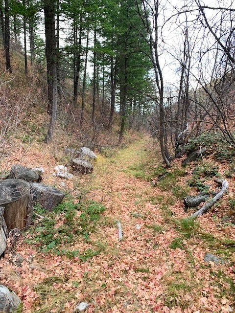 SPRING CREEK ESTATES - Land