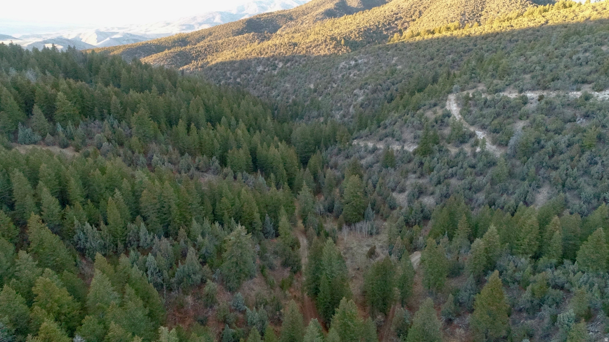 SPRING CREEK ESTATES - Land