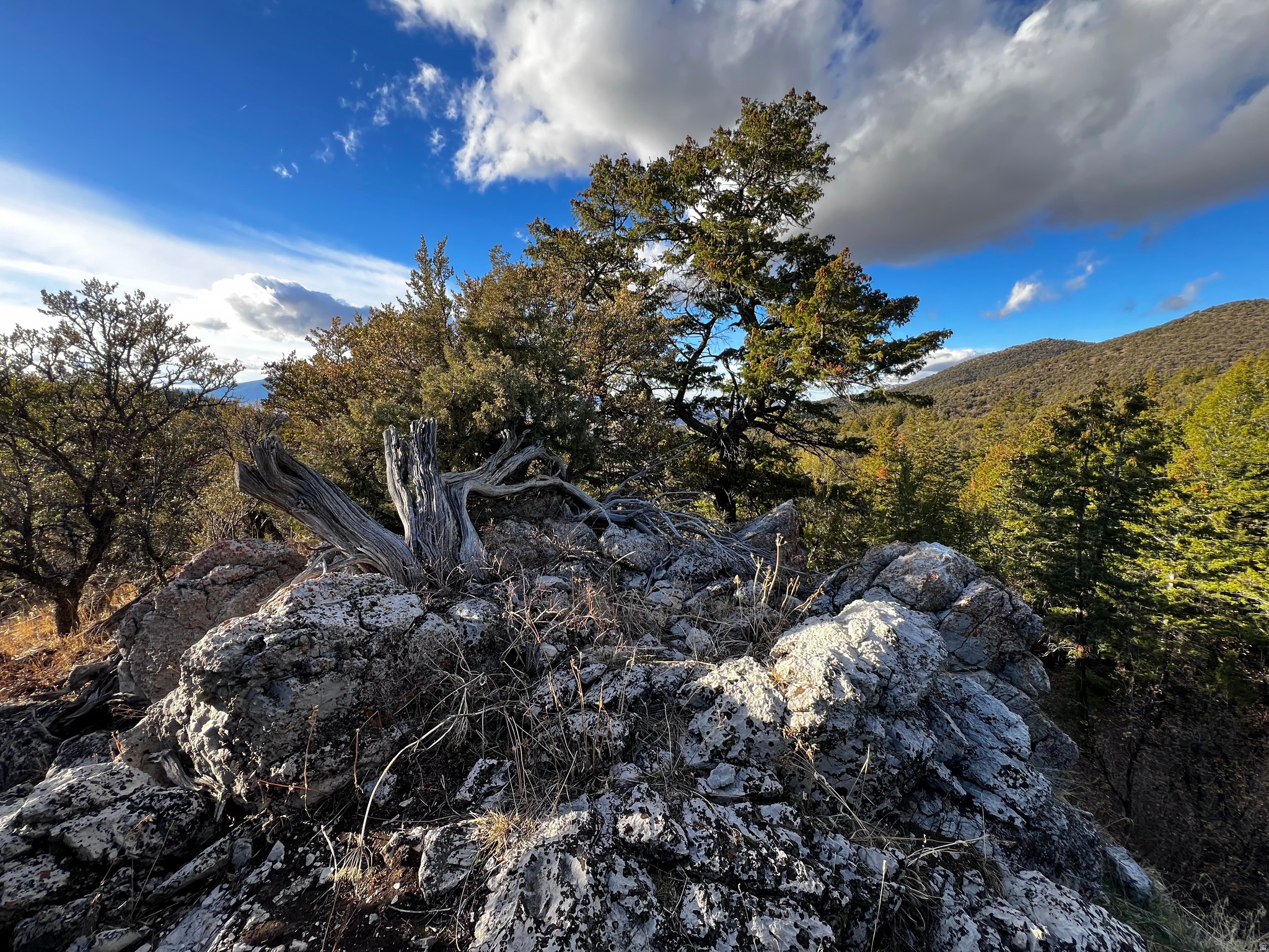 SPRING CREEK ESTATES - Land