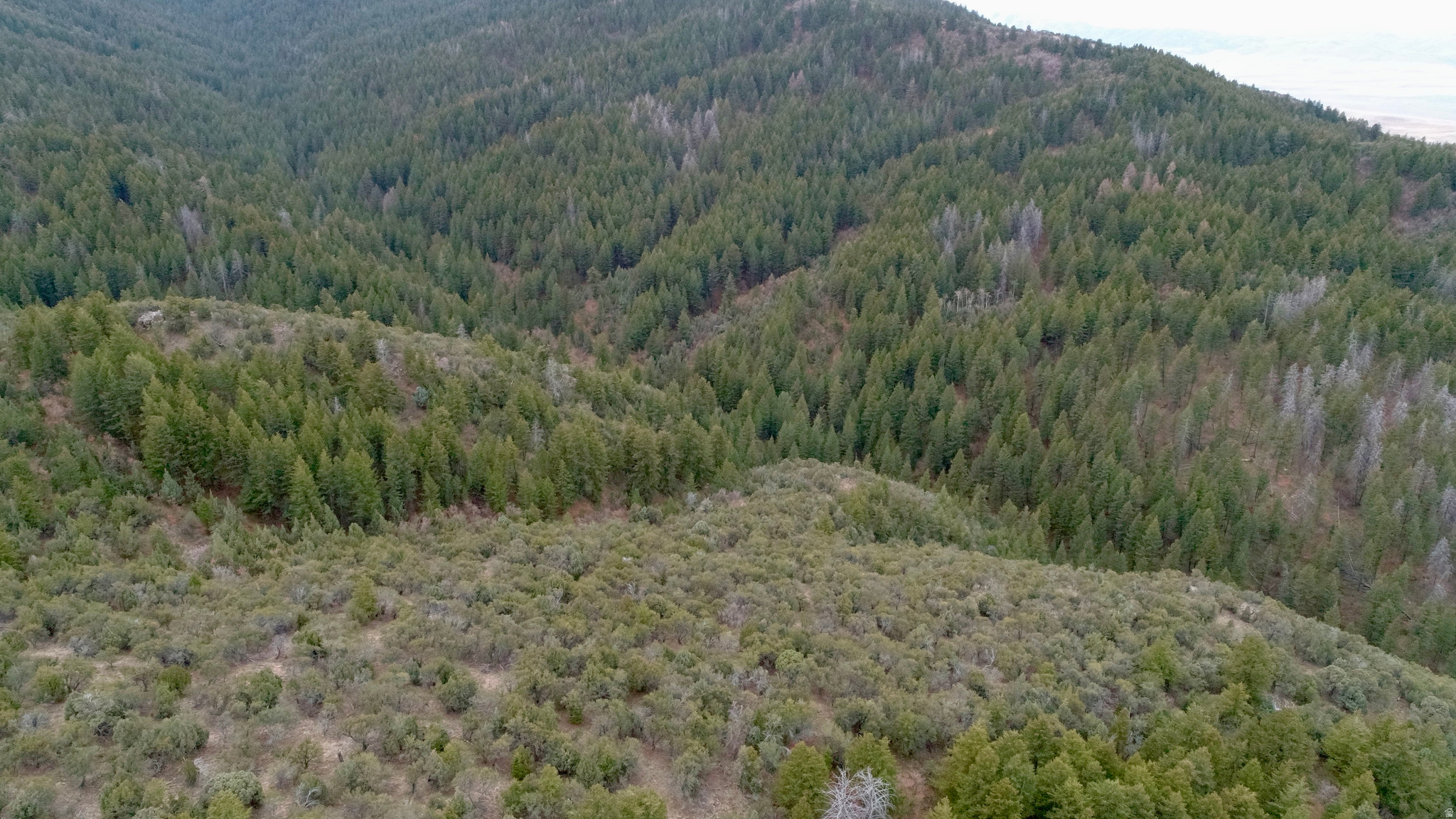 SPRING CREEK ESTATES - Land