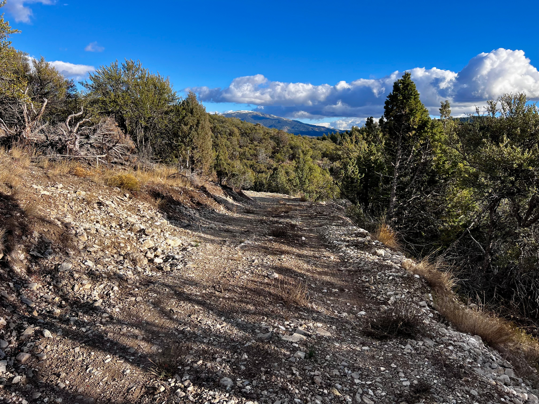 SPRING CREEK ESTATES - Land