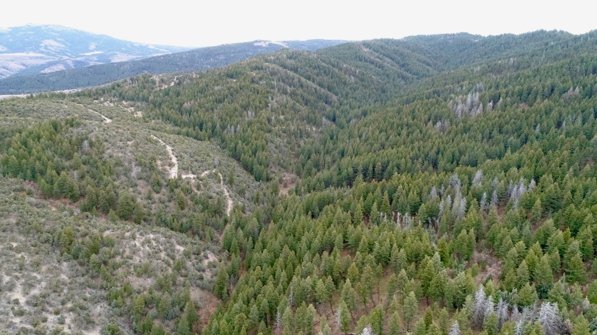 SPRING CREEK ESTATES - Land