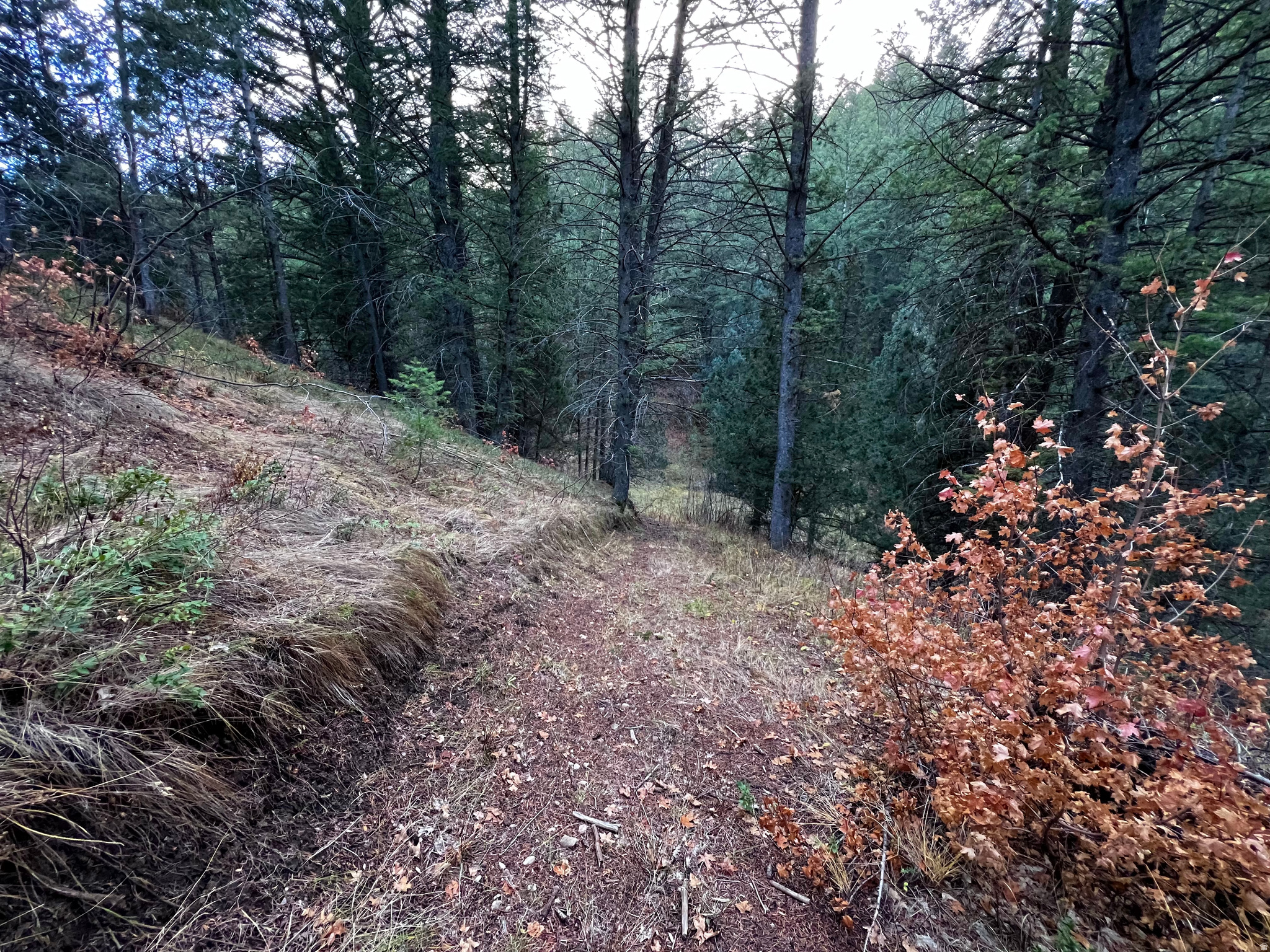 SPRING CREEK ESTATES - Land