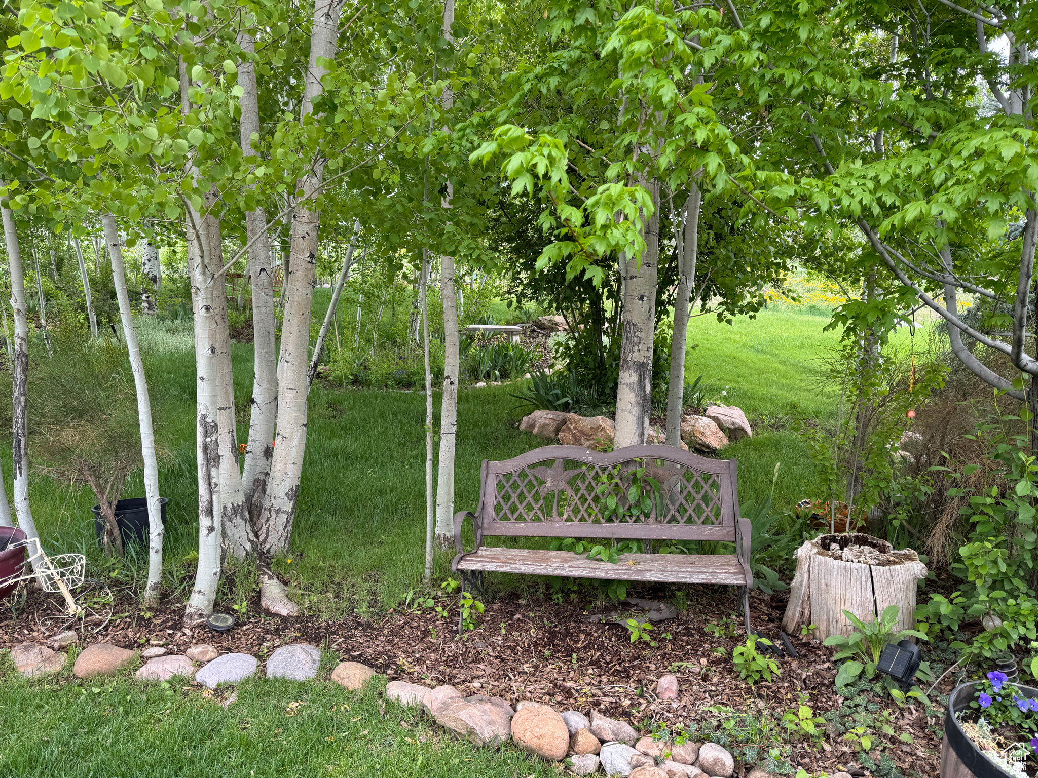 COTTONWOOD MEADOWS - Land