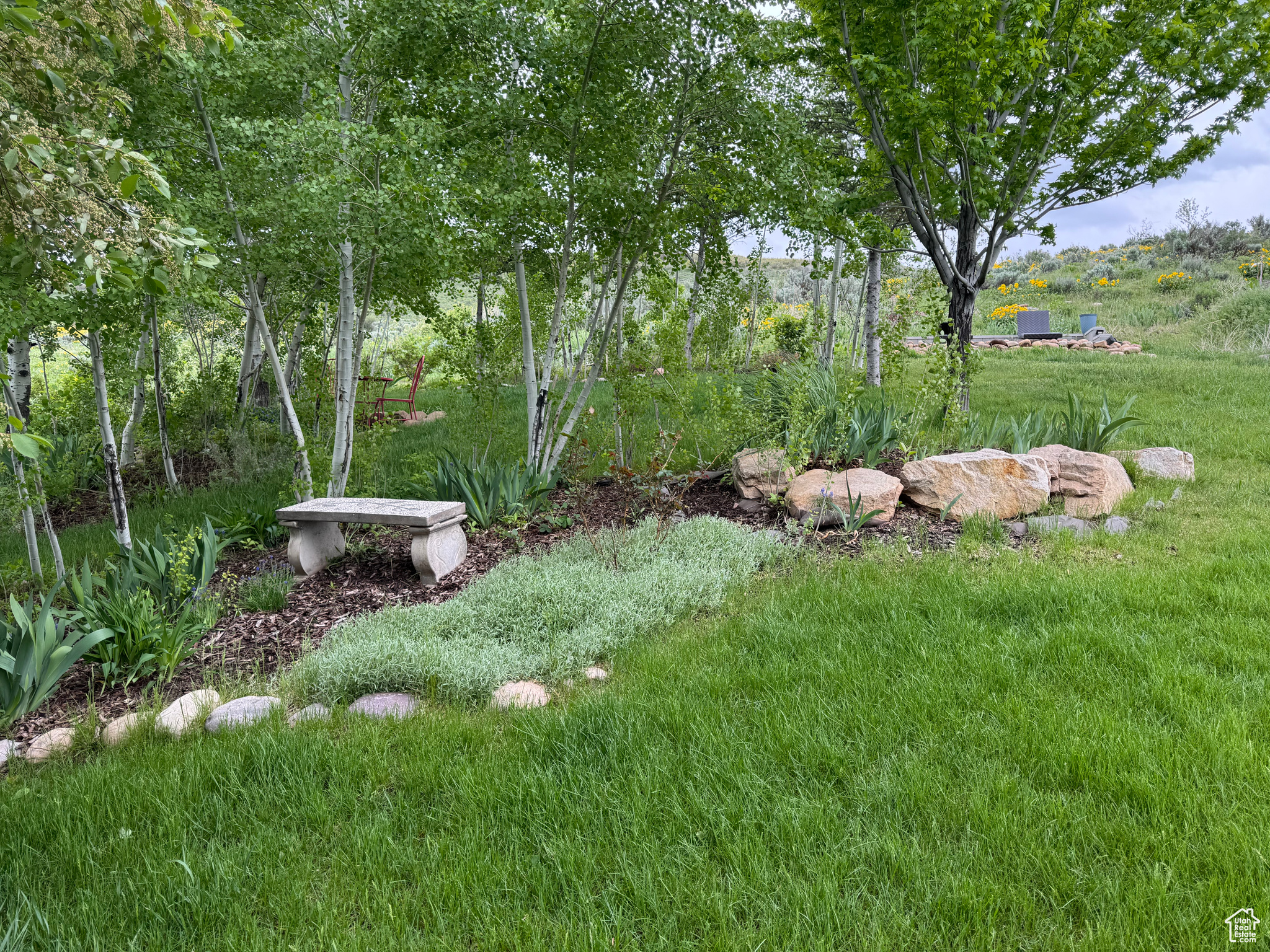 COTTONWOOD MEADOWS - Land