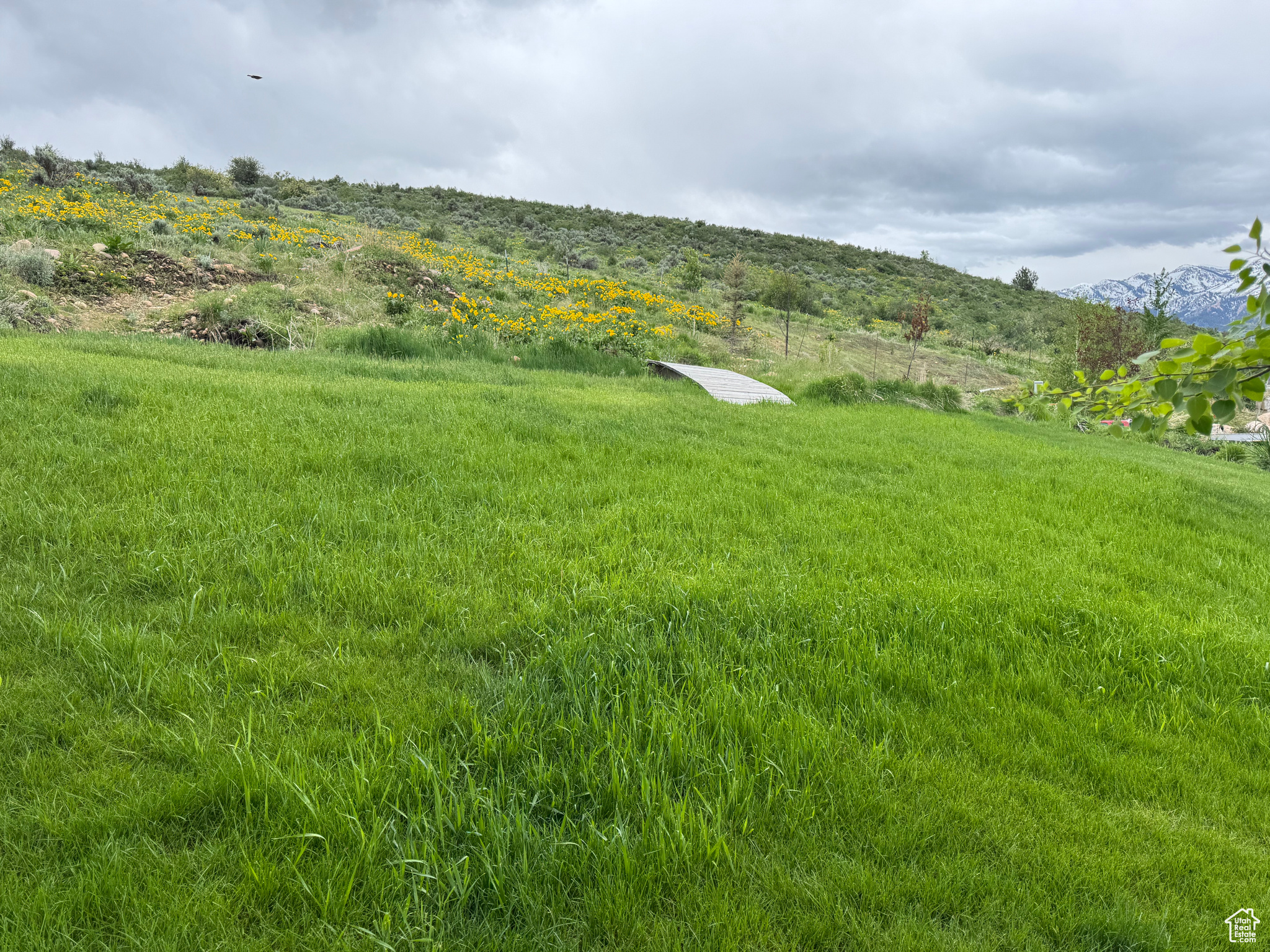 COTTONWOOD MEADOWS - Land