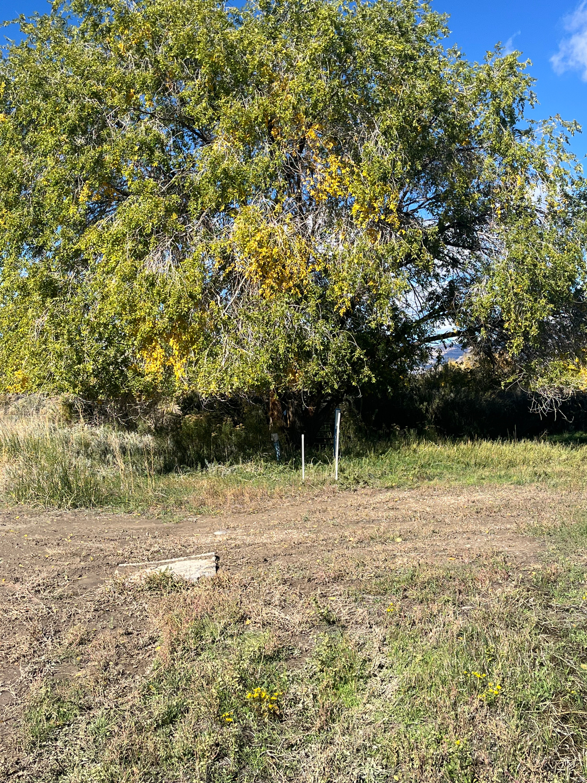 MOOSMAN SUBDIVISION - Land