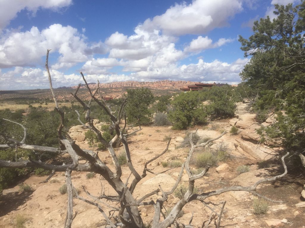 Photo of 187 S BRIDGER JACK TRAIL TRL #11, Moab, UT 84532 (MLS # 2166904)