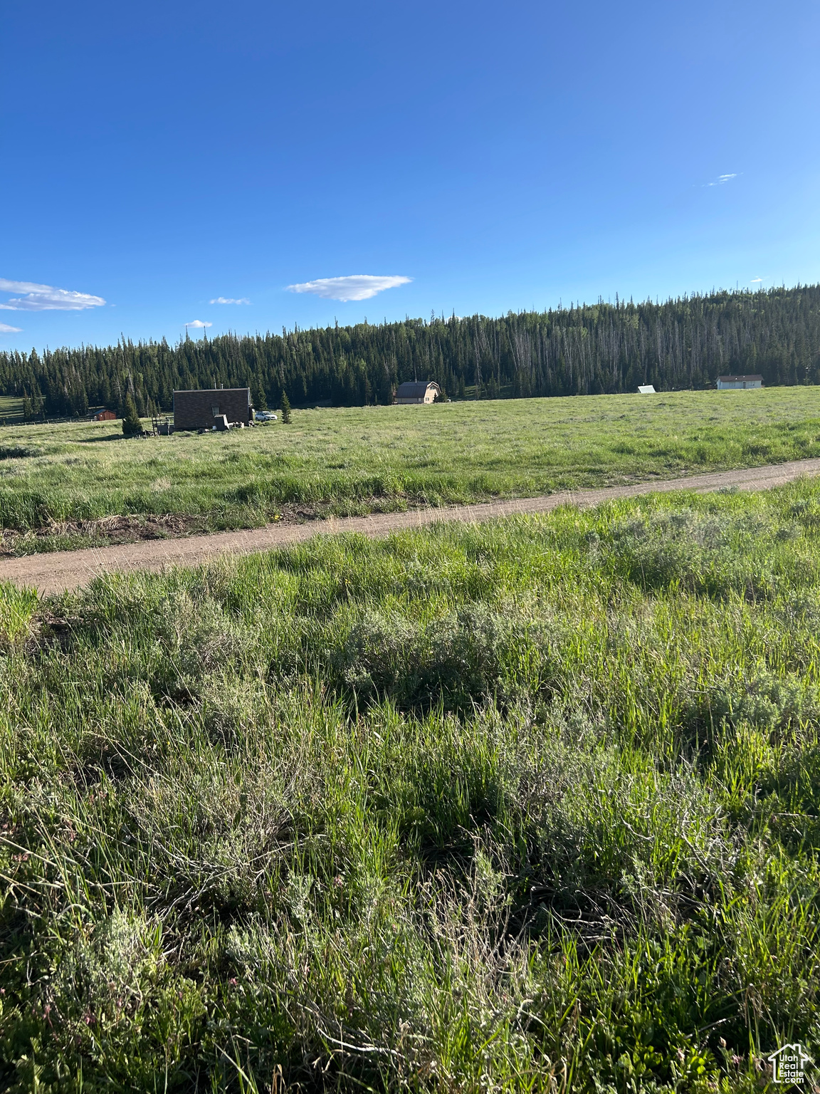 RAINBOW MEADOWS - Land