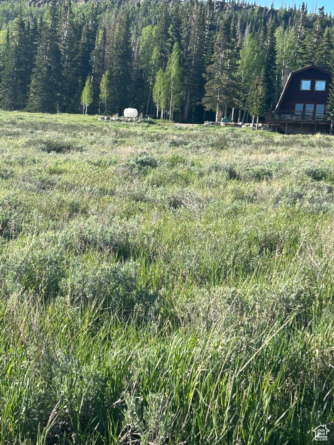 RAINBOW MEADOWS - Land