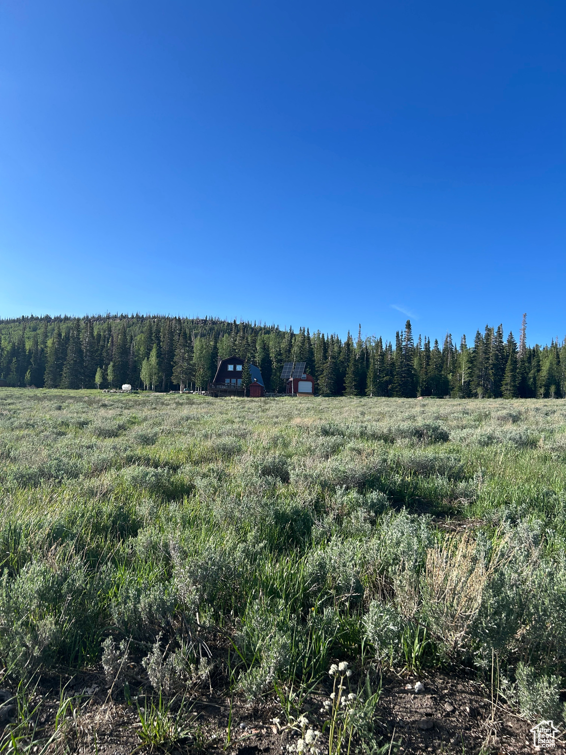 RAINBOW MEADOWS - Land