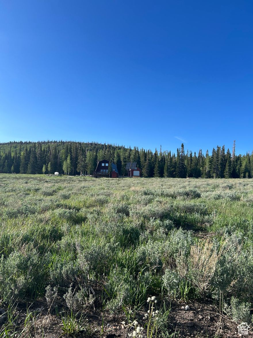 This lot is .71 acre and zoned residential. The HOA charges $125 annually for road maintenance and spring water access for your water tank.  Power is available.  Access is seasonal, winter access by snow mobile. It's a beautiful location to build a cabin or park your trailer and enjoy nature, star gazing and clean air.  About a 15 minute drive to Brian Head for shopping, dining and year round activities. About 25 minute drive to Panguitch Lake.