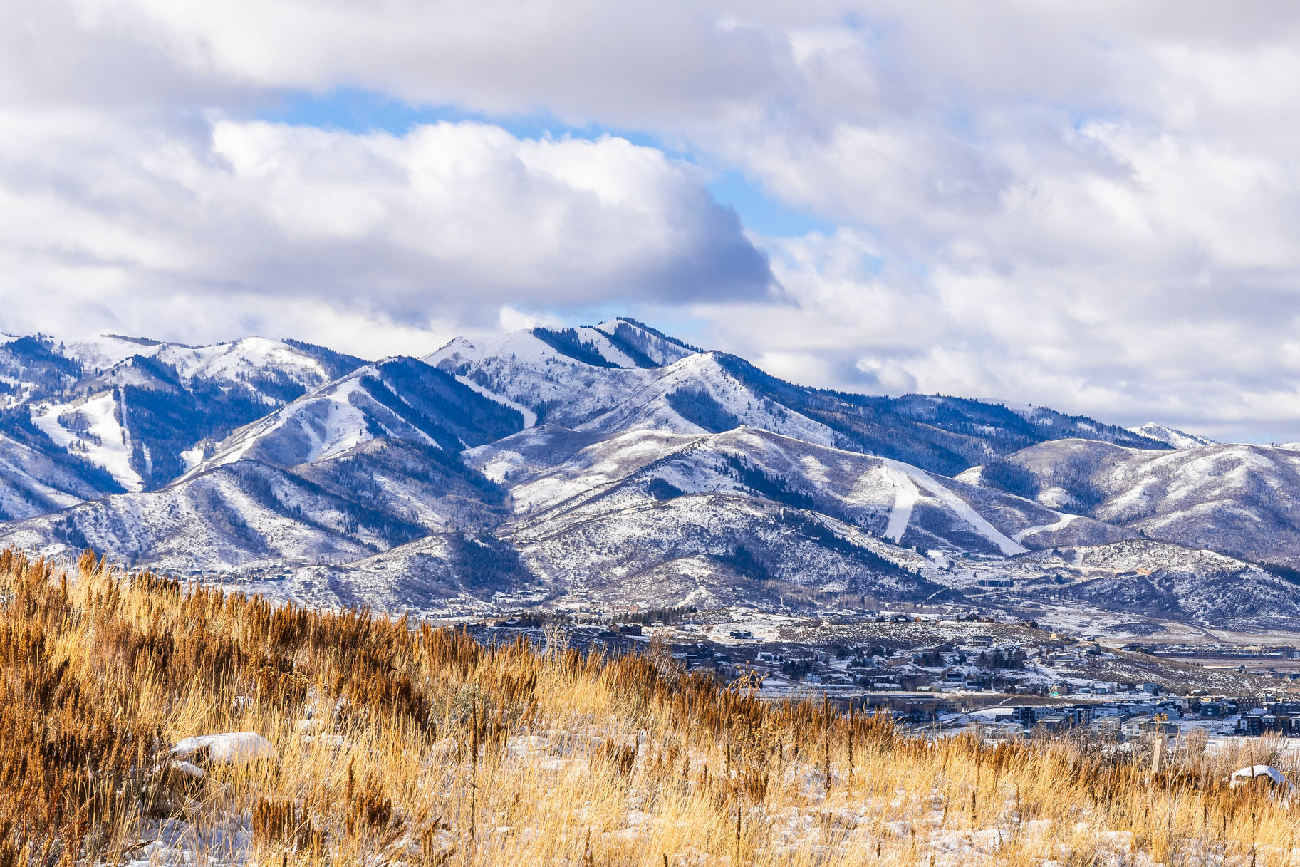 ELK RIDGE BLUFFS - Land