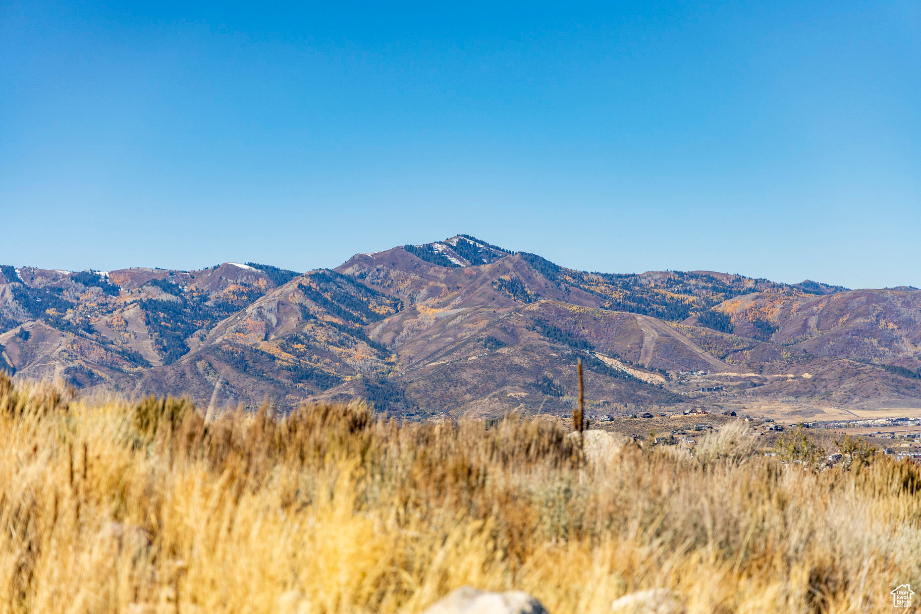 ELK RIDGE BLUFFS - Land
