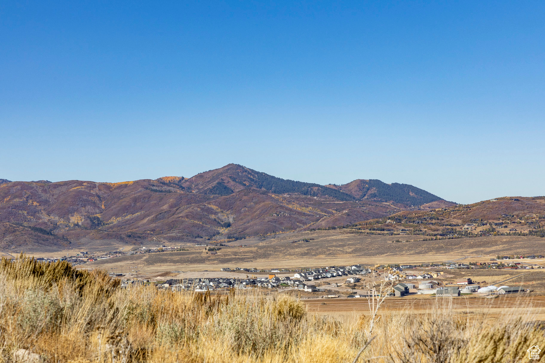 ELK RIDGE BLUFFS - Land