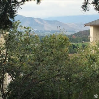 SWISS OAKS CONDOMINIUMS - Residential