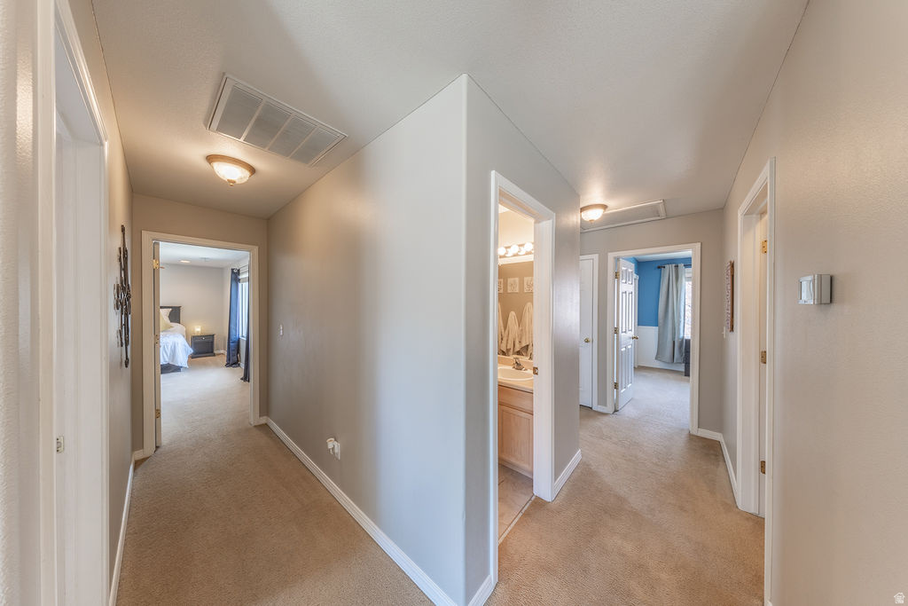 FOX HOLLOW - Residential