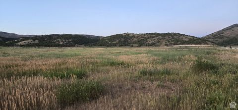 Vacant Land For Sale - Rd #2<br/> Bancroft, ID 83217