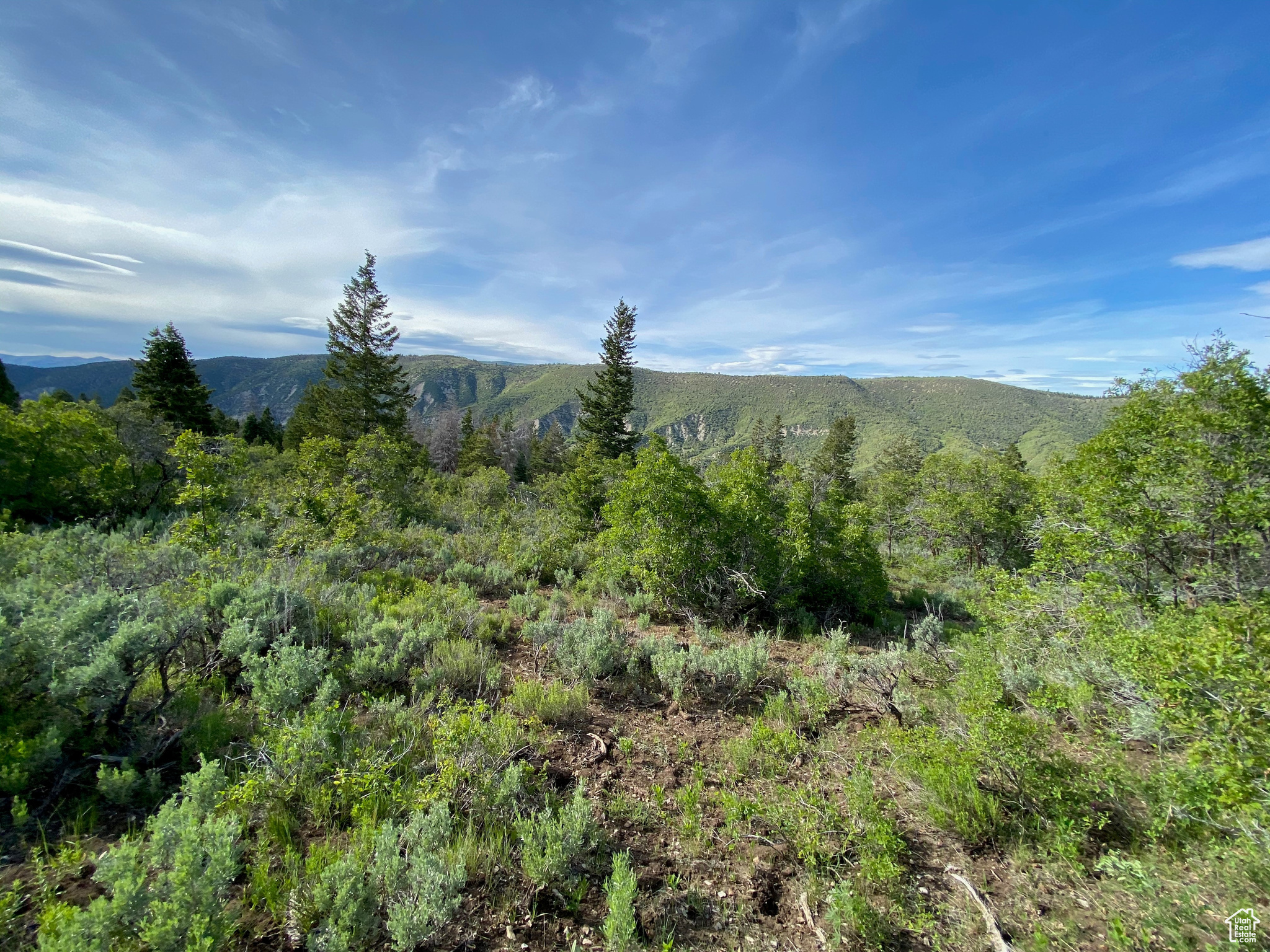 SOLDIER SUMMIT ESTATES - Land