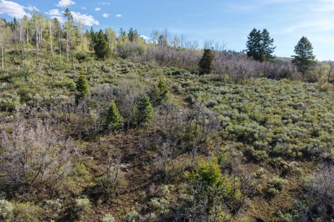 Tiny photo for 17104 S ALTA DR E #D81, Spanish Fork, UT 84660 (MLS # 2119260)