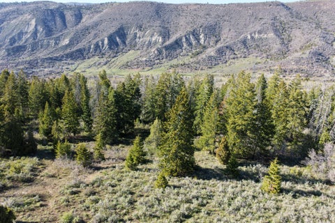Tiny photo for 17104 S ALTA DR E #D81, Spanish Fork, UT 84660 (MLS # 2119260)