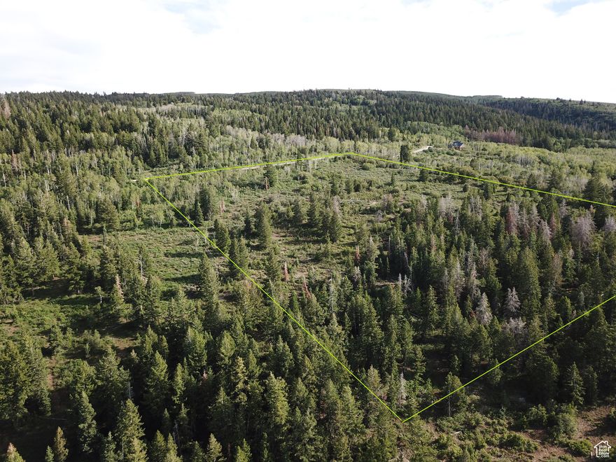 Pristine lot views of Northern and Western mountains and nightly sunset views. Lot is easy to walk with its slight slope to sloped and easy to walk. Pine trees, Quaking Aspens and Brush with open pockets of sage define this lots private settings. Road snow is plowed weekly for your winter access. Stubbed water, power and phone lines. Buyers to verify information and square footage. Minutes to numerous ATV, Snowmobile backcountry roads and numerous other areas for winter and summer activities. Scofield lake is a short 20-minute drive for boating and fishing. 40 minutes to Spanish Fork or 45 minutes to Helper.