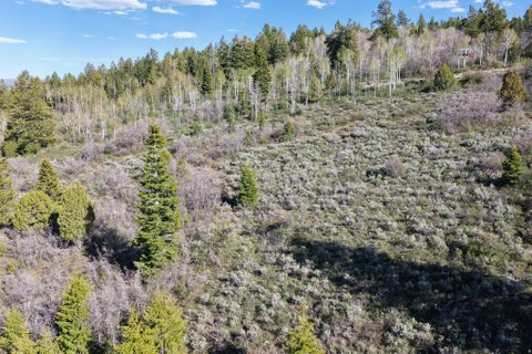 Tiny photo for 17104 S ALTA DR E #D81, Spanish Fork, UT 84660 (MLS # 2119260)