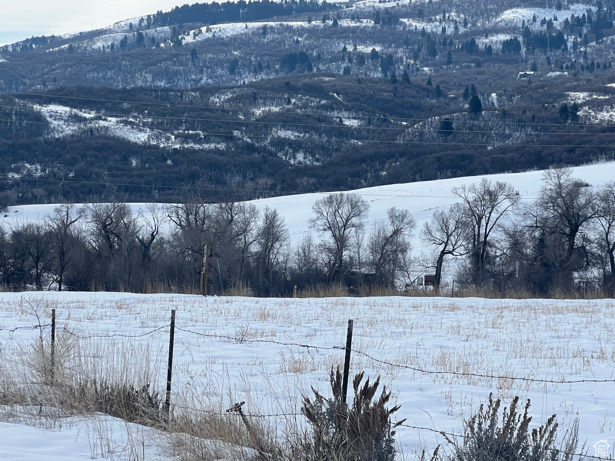 2948 N Hwy 162 Rd, Eden, Utah image 7