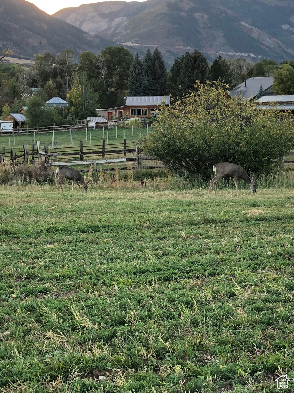 2948 N Hwy 162 Rd, Eden, Utah image 3