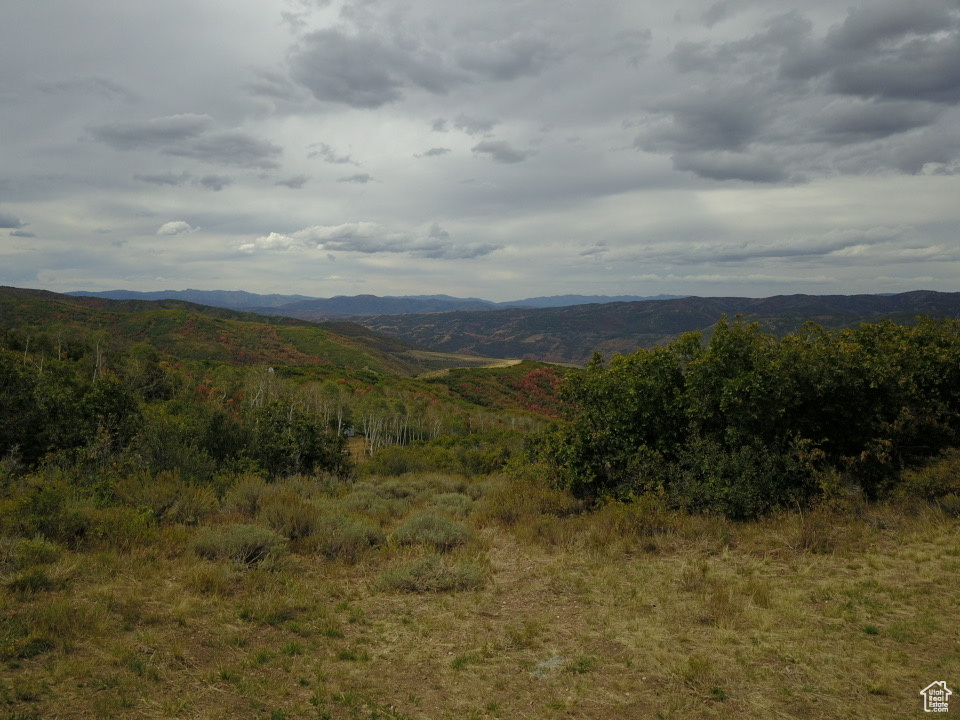 #177, Coalville, Utah image 21