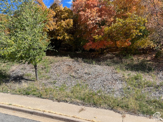 MAPLE HILLS - Land