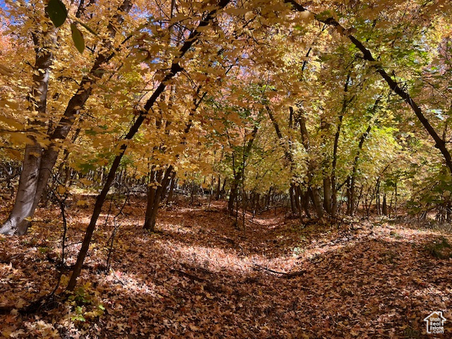MAPLE HILLS - Land