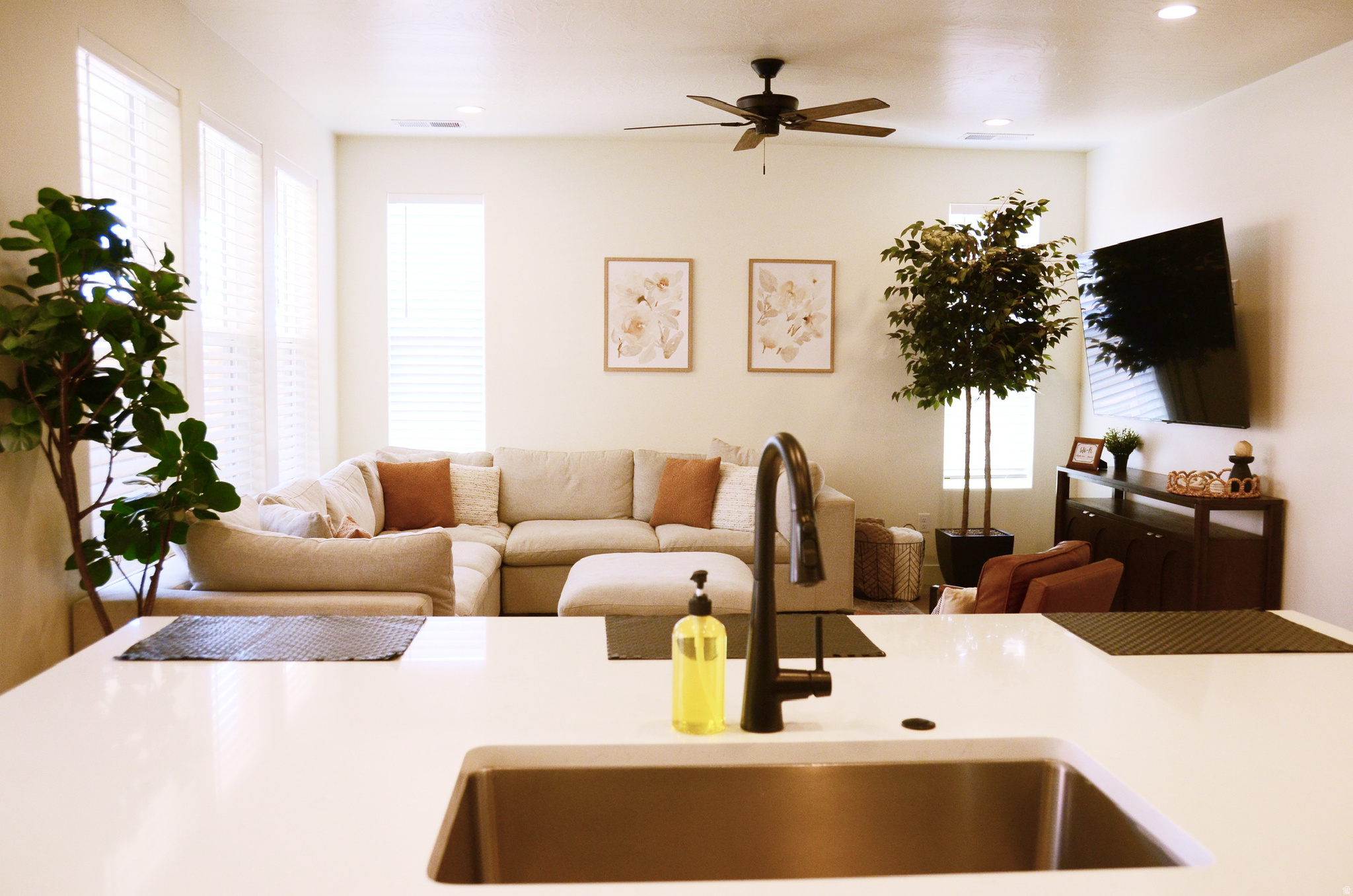 PASEOS AT SIENNA HILLS - Residential