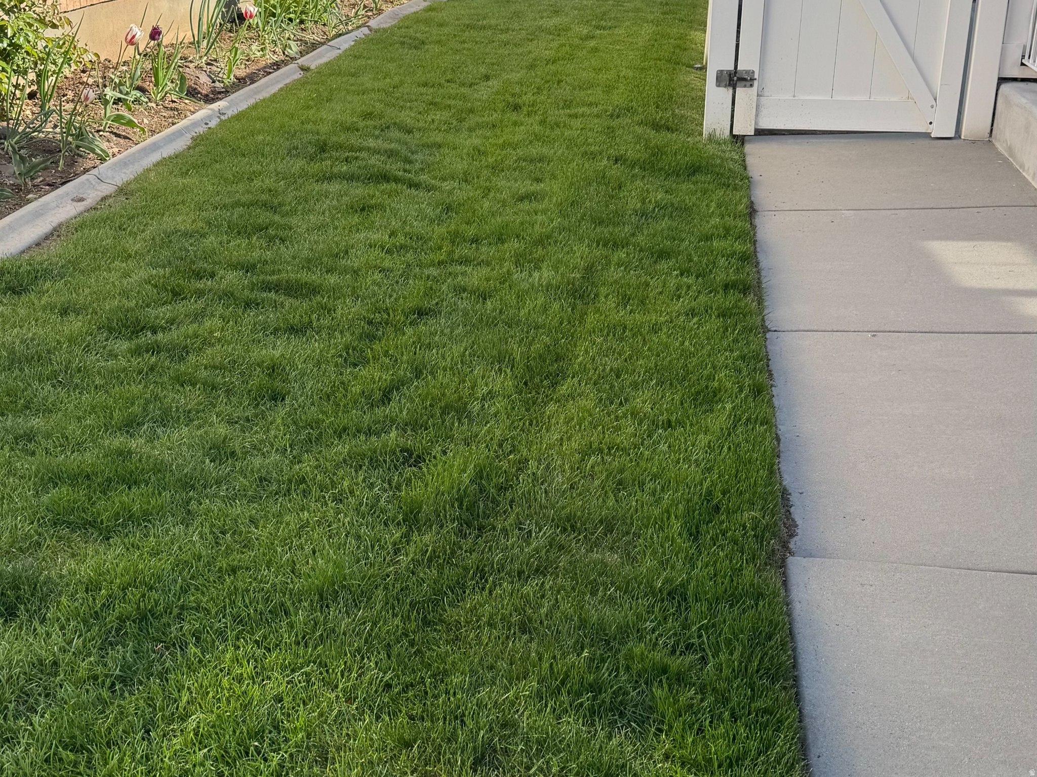 LA VILLA ROSA - Residential Income