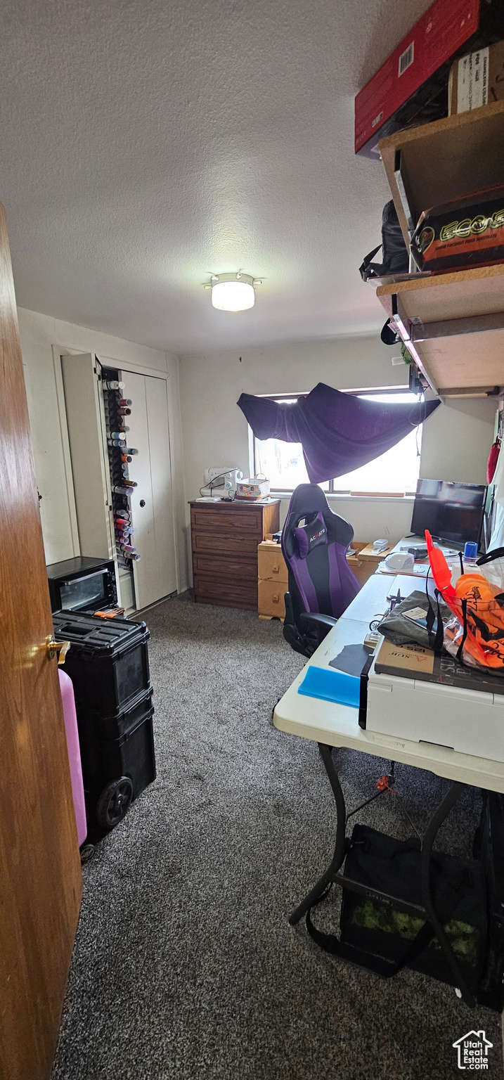 1433 W 2060, Helper, Utah image 6