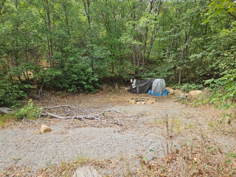 Tiny photo for 46 S UPPER BIRCH CREEK RD E #L46, Fairview, UT 84629 (MLS # 2174565)
