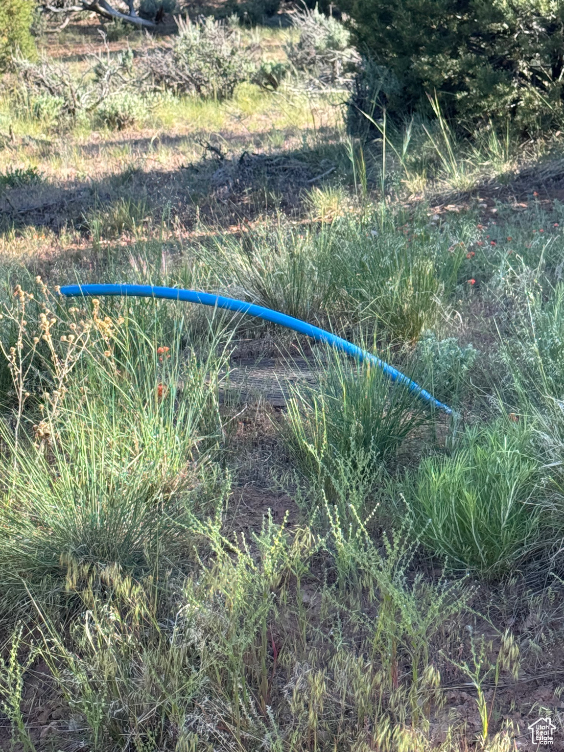 ELKHORN PHASE BANDANNA RANCH - Residential